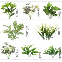 uploads/erp/collection/images/Home Garden/CongDing/XU0612218/img_b/XU0612218_img_b_3